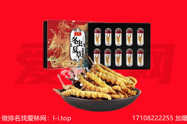 回收虫草.jpg